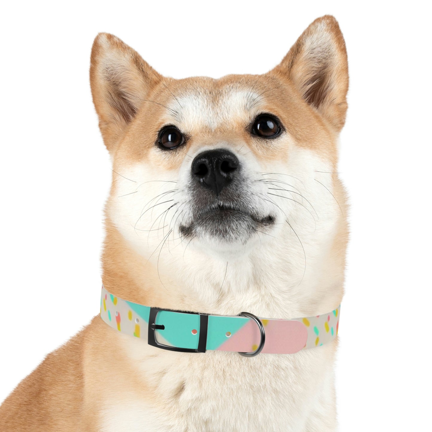 Confetti Dog Collar
