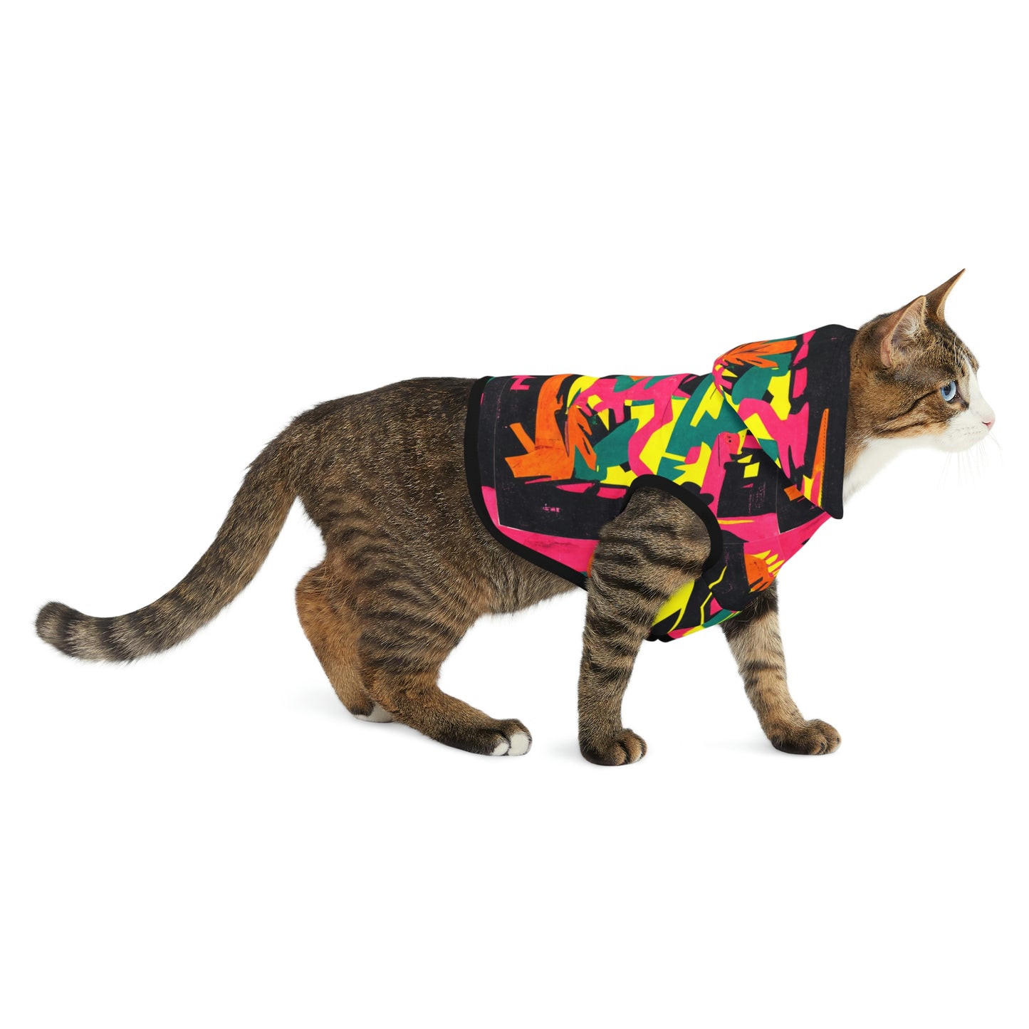 Modern Art Pet Hoodie