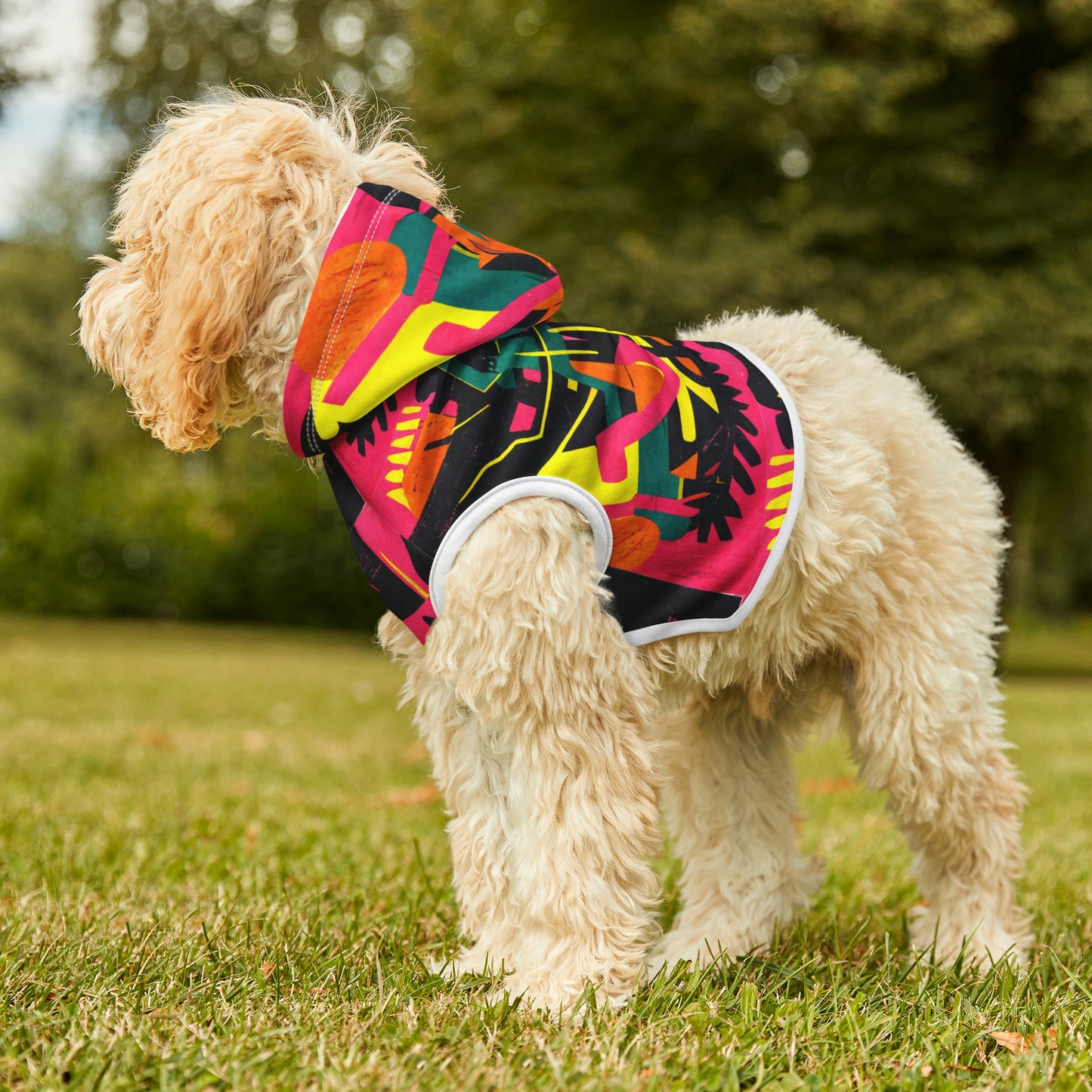 Modern Art Pet Hoodie