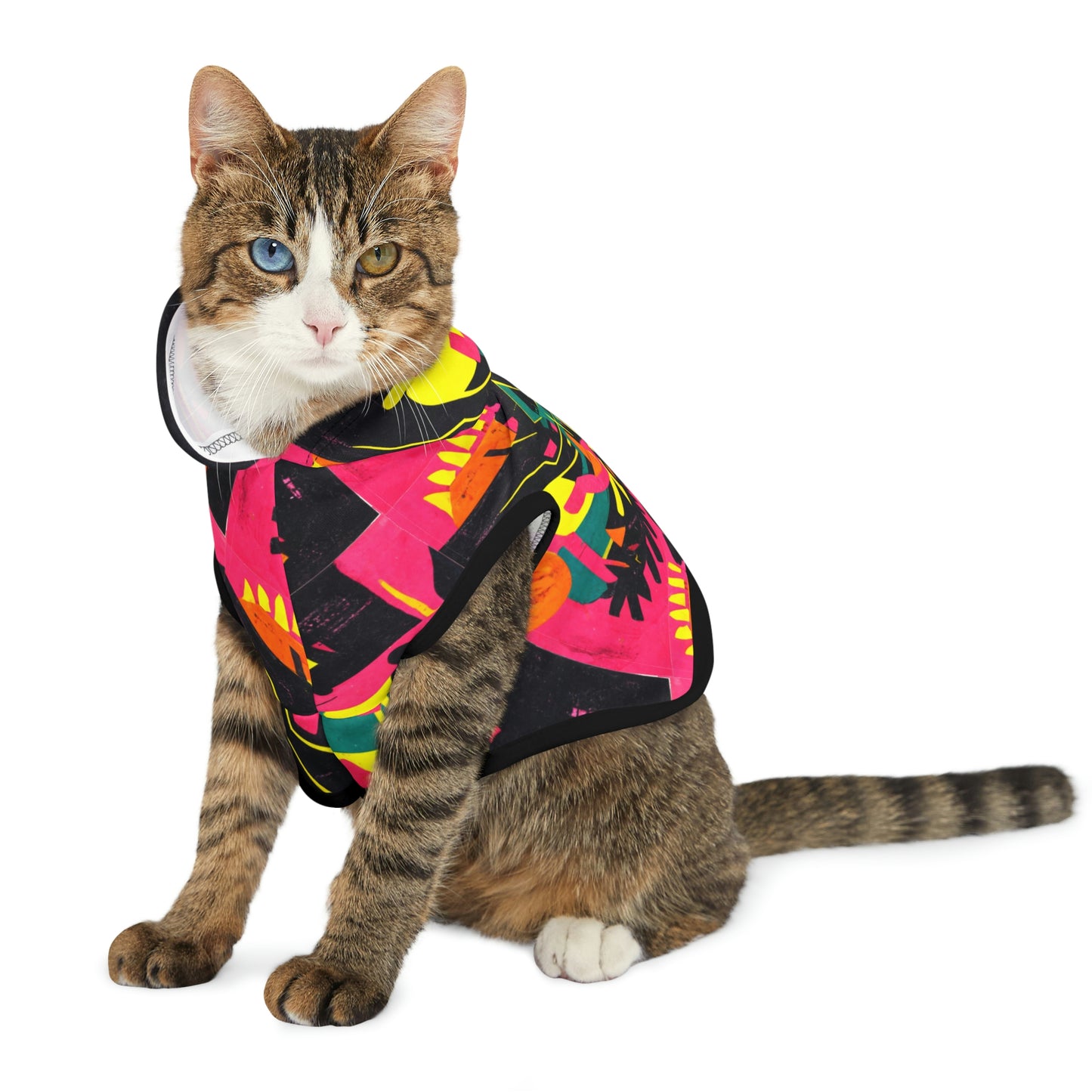 Modern Art Pet Hoodie