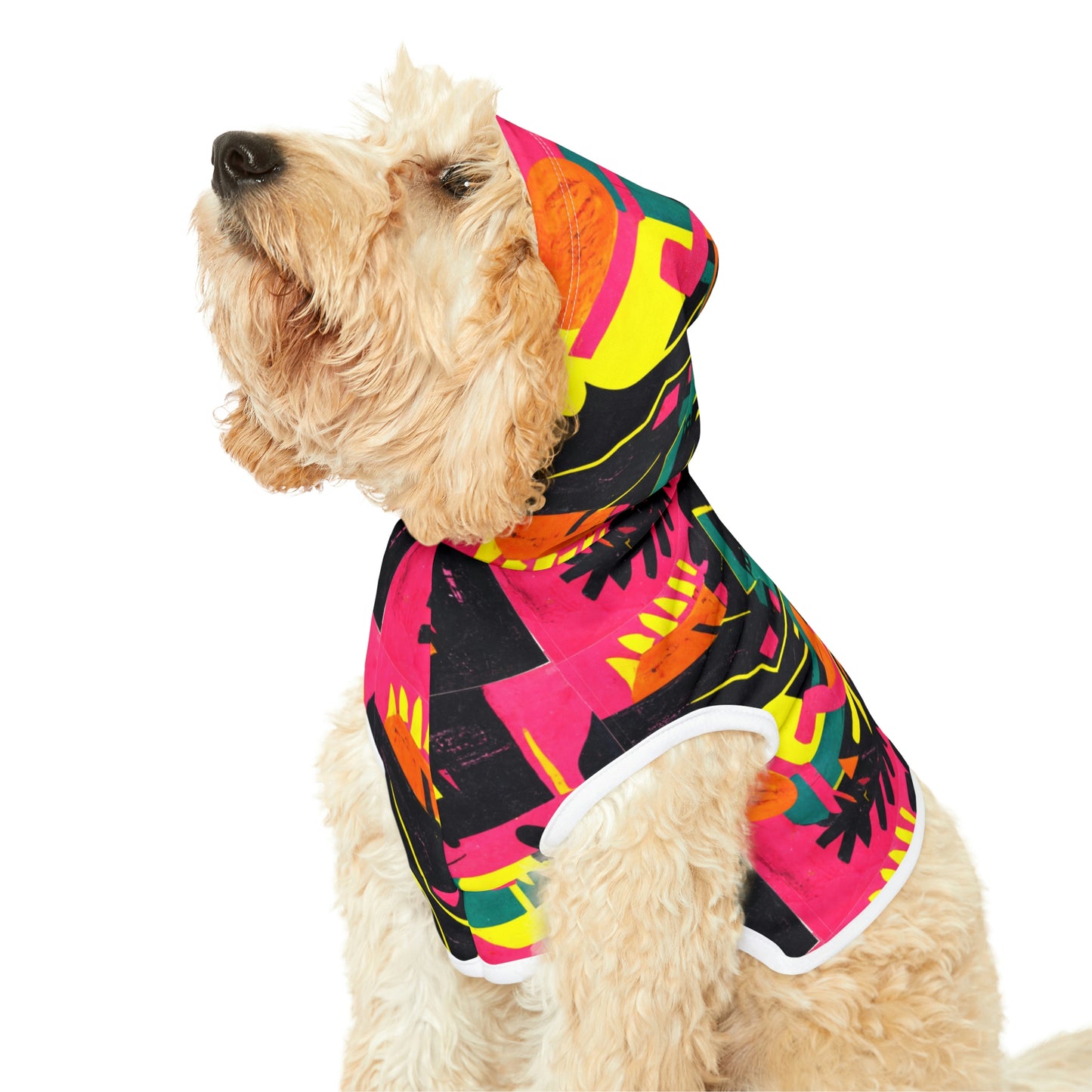 Modern Art Pet Hoodie